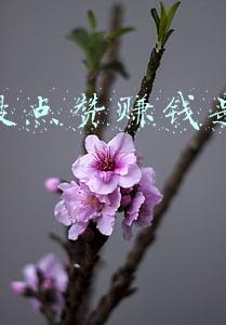 陕西文明网好人点赞(陕西省委文明办发布2021年9—10月“陕西好人榜”，23人入榜)