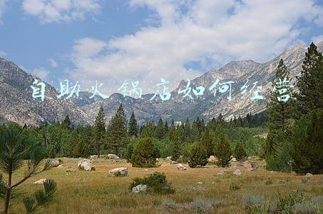 自助火锅店创业计划书《自助火锅店创业计划书范文》