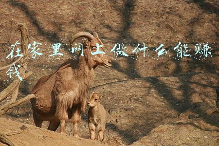 信用家装修网官网(信用家装修网 与 今日头条 签署战略合作协议，品牌力再升级！)