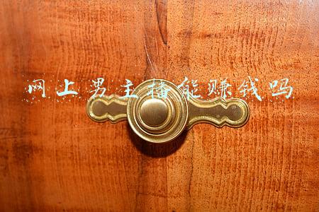 网上男主播能赚钱吗