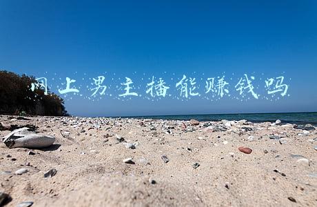 网上男主播能赚钱吗
