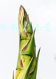 短视频用户行为分析(2022零基础玩转短视频「1.如何快速准确建立用户画像」)