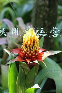 仓库管理6大原则(仓库安全工作“六要”与“六不准”原则)
