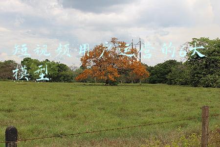 6大3小团建(告别冷场的24个团建聚会小游戏)