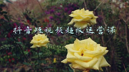 抖音短视频超级运营课