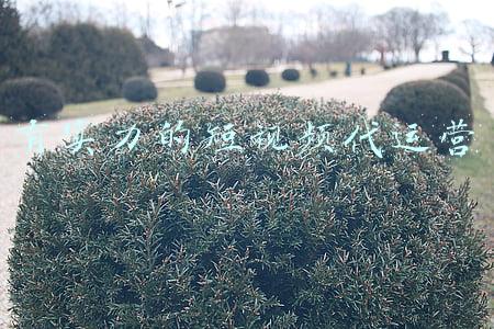 有实力的短视频代运营