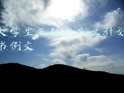 大学生互联网创业计划书例文