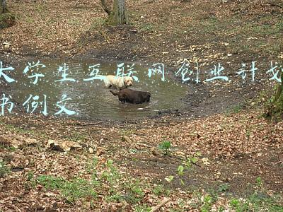 大学生互联网+创新创业项目计划书范文(关于公布第七届中国国际“互联网+”大学生创新创业大赛总决赛现场比赛项目名单的通知)