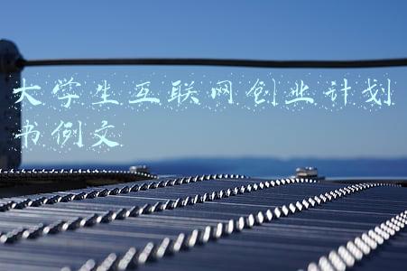 大学生互联网创业计划书例文 大学生互联网创业计划书例文