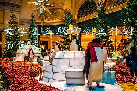 大学生互联网+创新创业计划书模板(“互联网＋”大学生创新创业大赛9个超高获奖率项目)