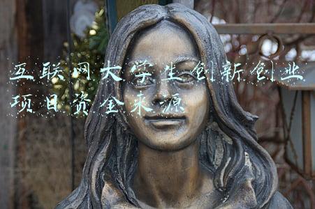 在校大学生创新创业资金来源(河南出台系列措施，进一步支持大学生创新创业)