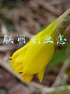 干互联网创业怎么办