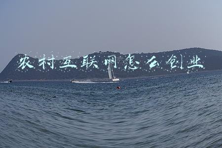 农村互联网发展现状(乡村振兴看一线｜我国现有行政村已全面实现“村村通宽带”农村互联网普及率达59.2%)