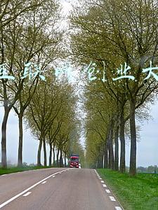 互联网 经验交流材料(申论范文丨互联网将孤岛连成新大陆)