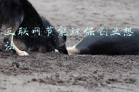互联网节能环保创业想法