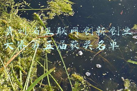 贵州省互联网创新创业大赛第五届获奖名单