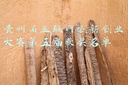 贵州省互联网 大赛(斩获三金！贵州省大学生在中国国际“互联网+”大学生创新创业大赛中取得历史性突破)