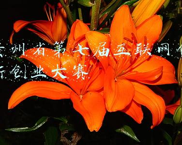 贵州省第七届互联网创新创业大赛
