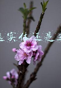 互联网创投是做什么的(万亿“产业互联网”到底指什么？这里有一份创投指南)