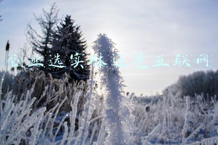 创业选实体还是互联网