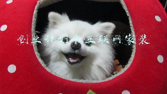 创业计划书互联网家装