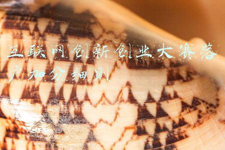 互联网创新创业大赛优秀作品(公示啦！河北这些作品拟入围全国“互联网+”快递业创新创业大赛全国总决赛)