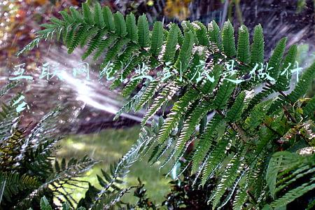 互联网创业到底是做什么