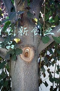 互联网创新创业创意组优秀作品