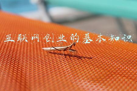 互联网创业定义(什么是互联网创业？有什么典型特征？)