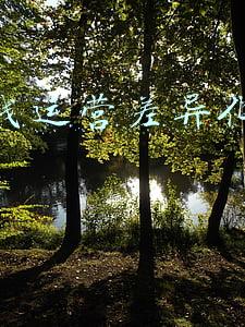 产品线运营差异化什么意思