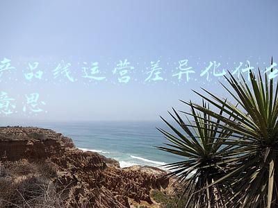 产品线上运营(线上活动运营流程)