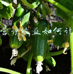 经营净收益包括什么(经营净收益与净利润的区别)