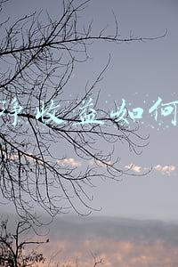经营净收益计算公式,经营净收益怎么计算