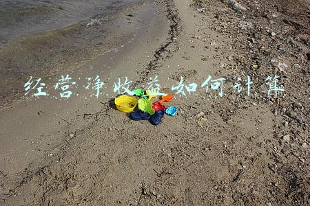 经营净收益计算方法《经营净收益怎么计算》