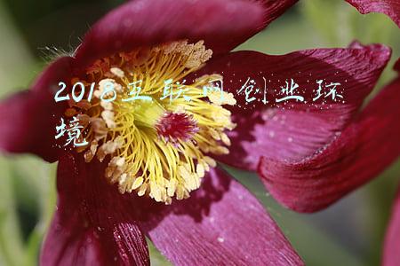 2018互联网普及率(报告显示我国网民规模已达10.11亿 互联网普及率71.6%)