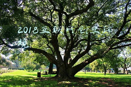 2018互联网公司排名(十大中国互联网巨头：3内容平台、3商业平台、2游戏、1房1车)