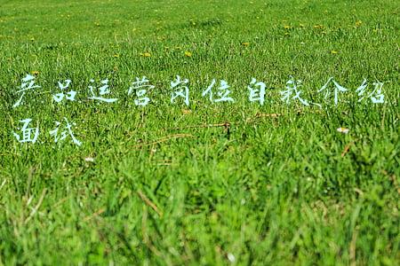 应届生面试运营岗位自我介绍(入职、面试、公司培训自我介绍)