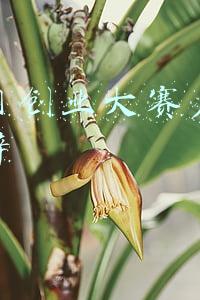互联网创业大赛启动仪式致辞