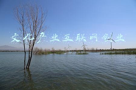 文化产业汇报材料(不忘初心｜北京梅氏文化专业委员会2021年年终工作总结汇报)