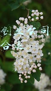 互联网创业公司注册多少资金合适