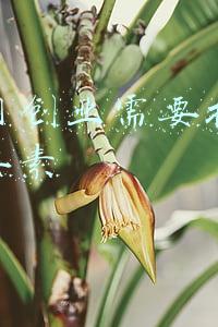 互联网三大巨头(互联网三巨头，百度泯然众人，阿里市值缩水2.54万亿，仅腾讯一半)