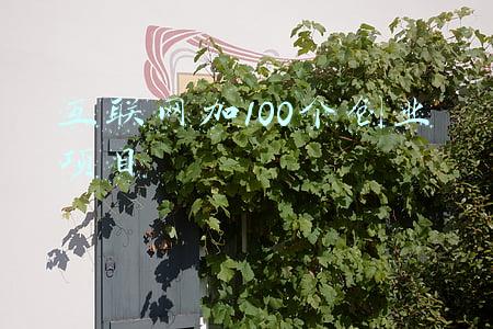互联网加创业项目名称(2021年有哪些互联网项目可以做！也许这个项目可以做)