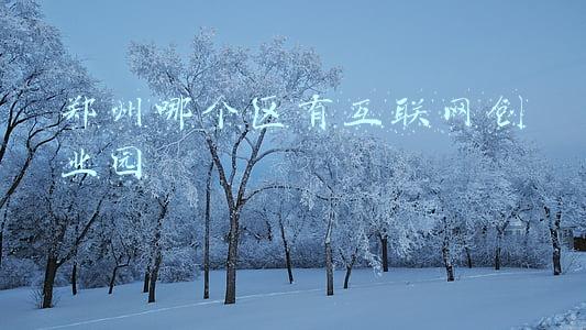 郑州互联网企业(郑州首份互联网排行榜发布，郑州的互联网在哪里？)