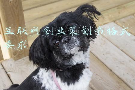 互联网创业策划书格式要求