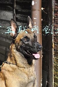 北京互联网总部(2021最新 北京互联网公司排名)