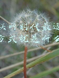 在互联网时代最适合的创业方式就是什么