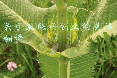 关于互联网创业的英语翻译