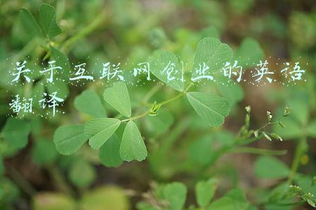 关于互联网创业的英语翻译