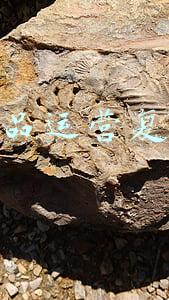 产品复盘怎么分析(老板、管理者、员工的年终复盘怎么做？)