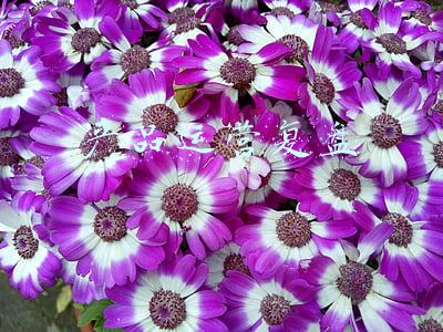 产品运营复盘流程(实战拆解：手把手教你开好产品复盘会)